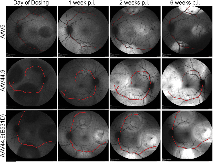 Figure 3