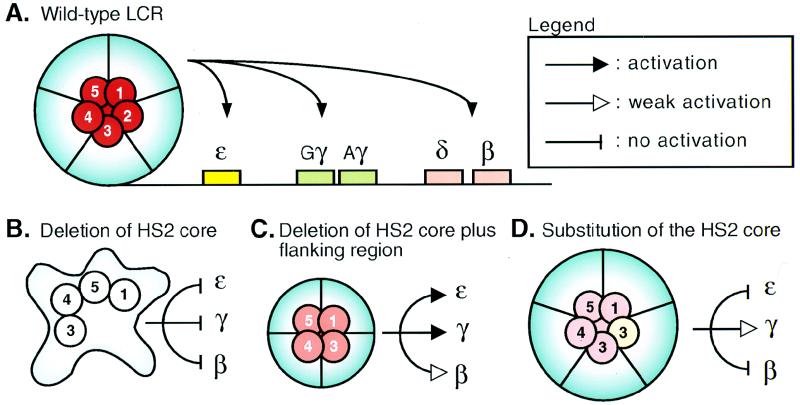 FIG. 6