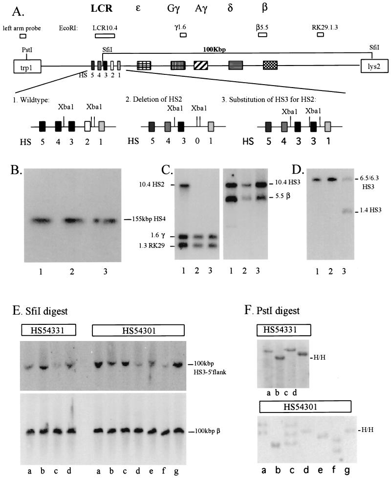 FIG. 1