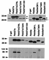 FIG. 5.