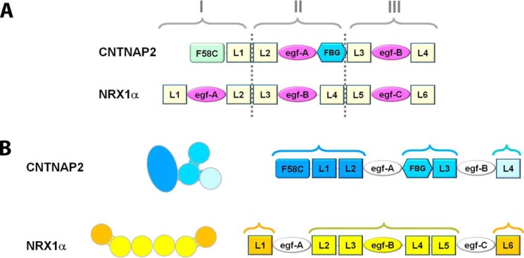 FIGURE 9.