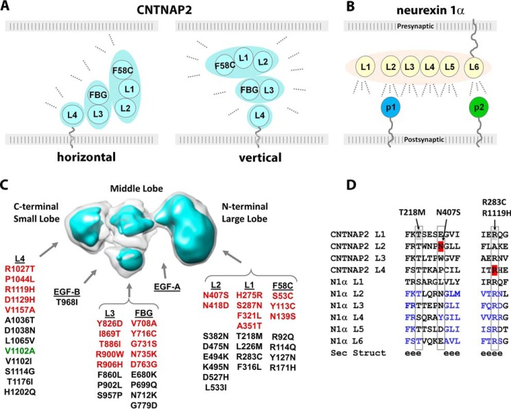 FIGURE 10.