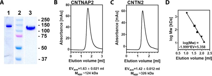 FIGURE 2.