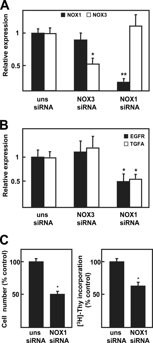 FIGURE 9.