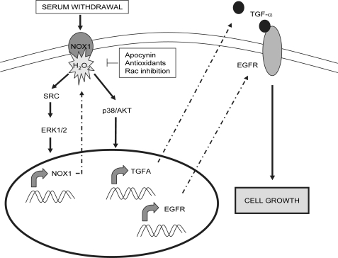 FIGURE 10.