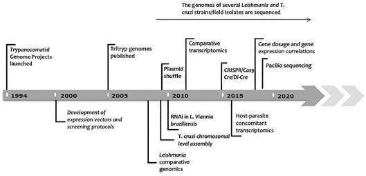 Timeline showing some of the major achievements in the areas of genomics, transcriptomics and functional genomics in Leishmania and Trypanosoma cruzi. Important genomic initiatives launched before 1994 were included in a comprehensive and recent review by Ramírez, 2020.
5

