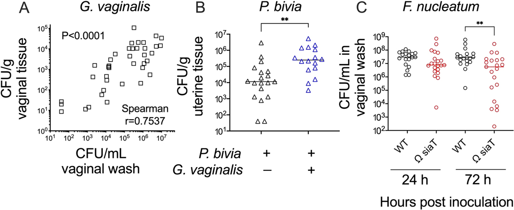 Figure 4: