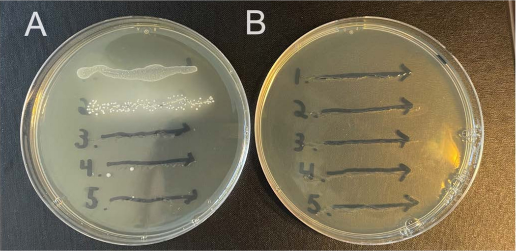 Figure 2: