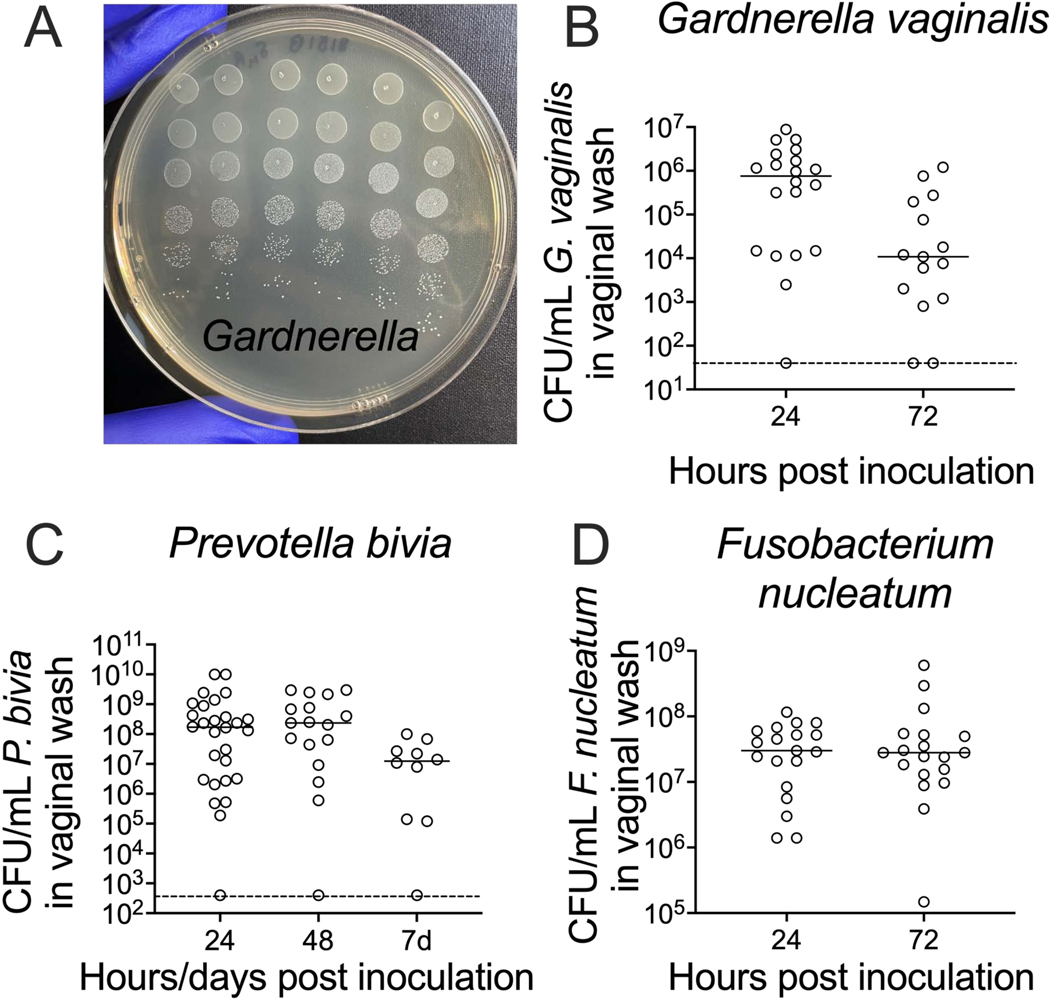 Figure 3: