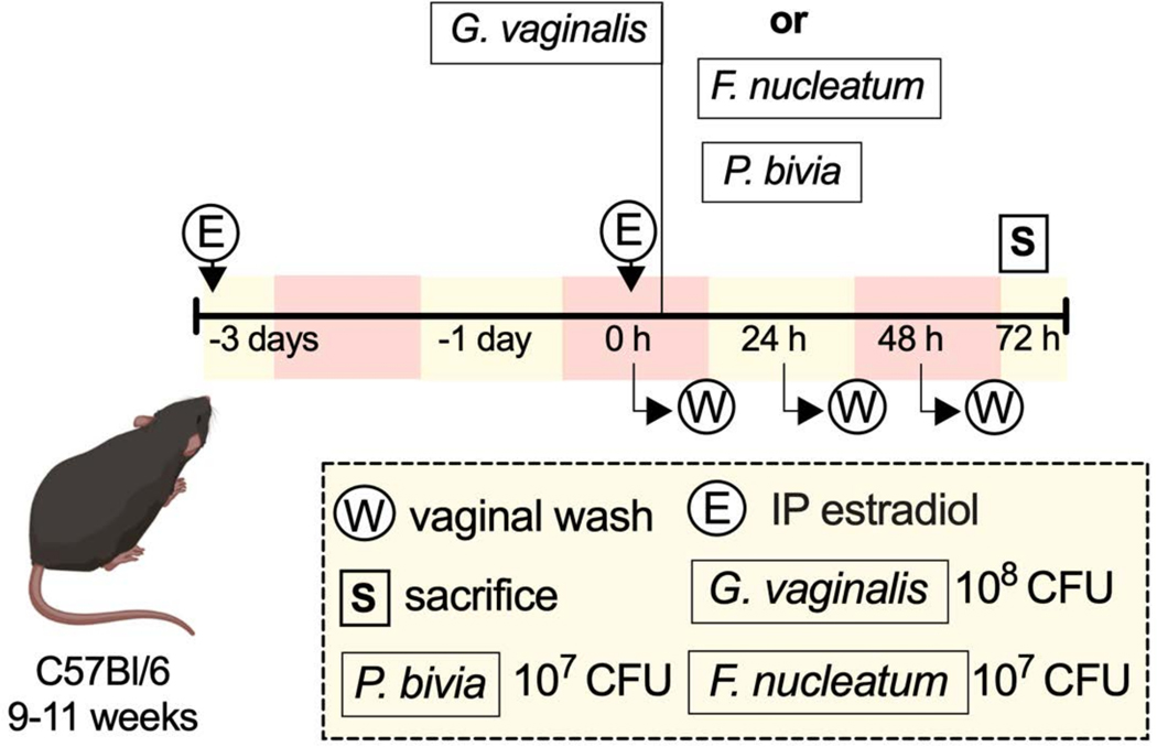 Figure 1: