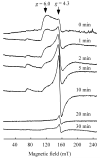 Fig. 2