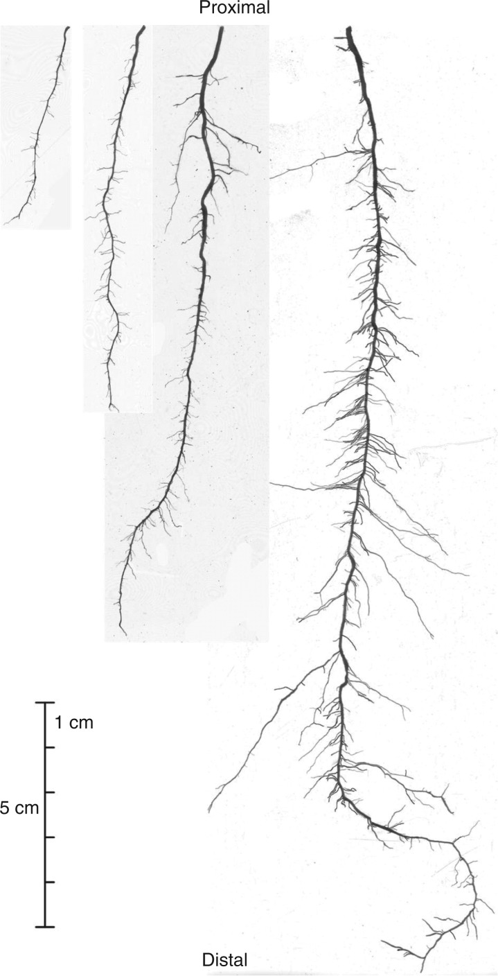 Fig. 9.