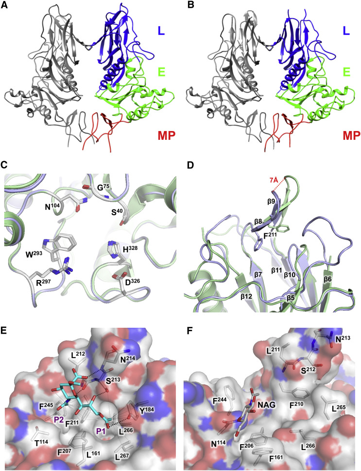 Figure 4