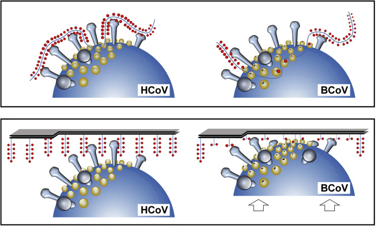 Figure 6