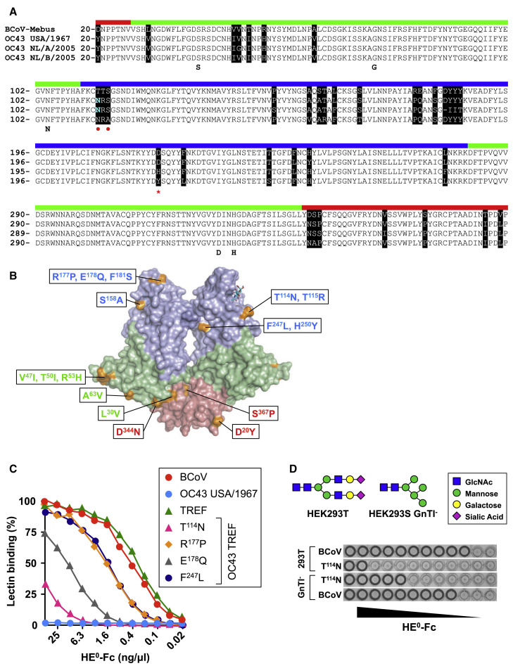 Figure 2