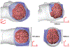 Fig. 7: