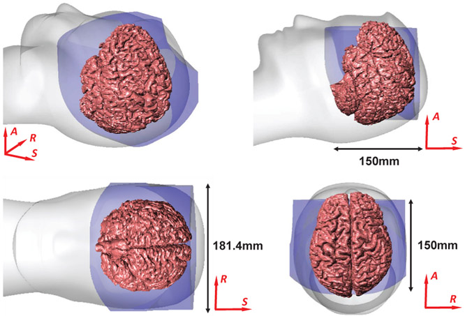 Fig. 7: