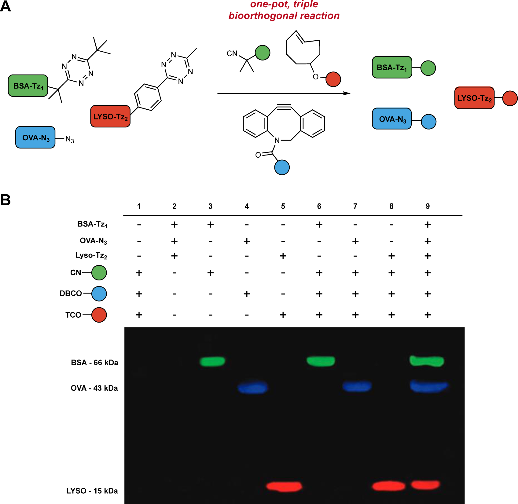 Figure 6.