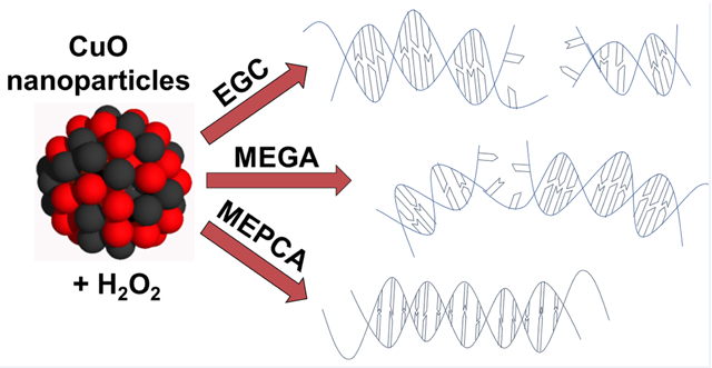 graphic file with name nihms-1753710-f0001.jpg