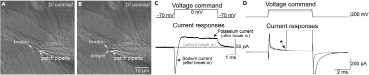 Figure 4