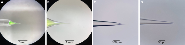 Figure 2