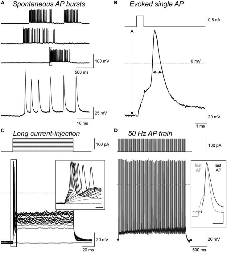 Figure 7