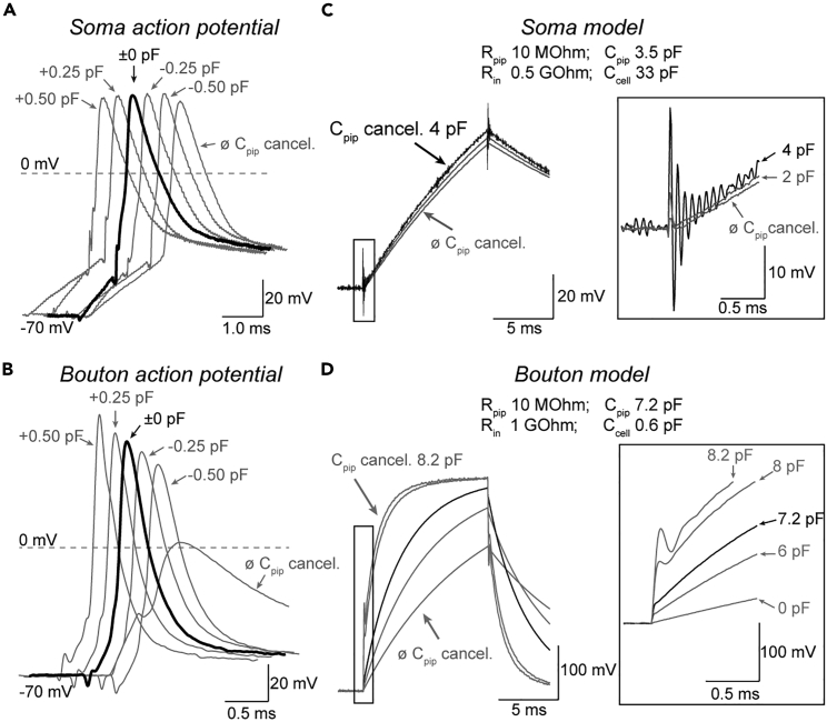 Figure 5