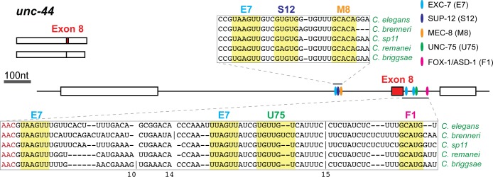 Fig 10