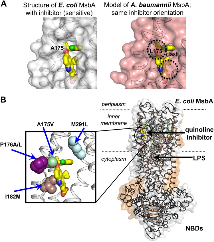 FIG 3