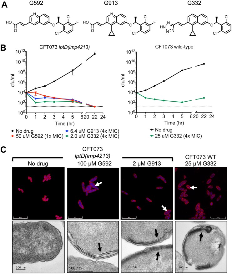 FIG 2