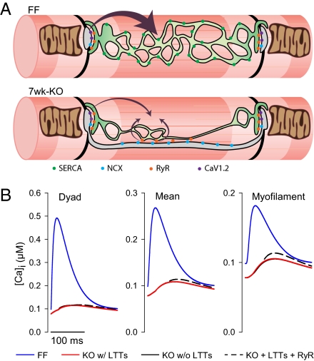 Fig. 6.