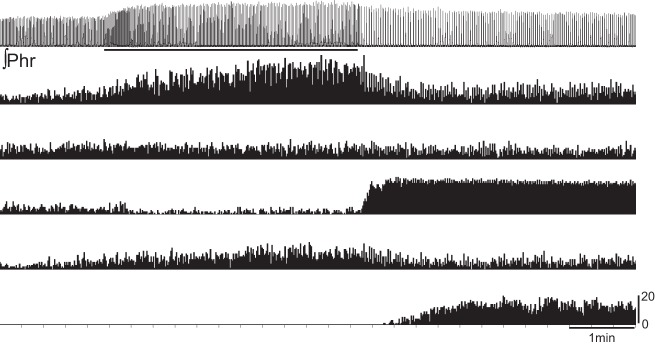 Fig. 7.