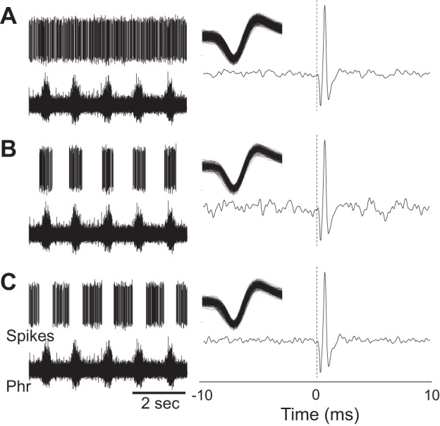 Fig. 10.