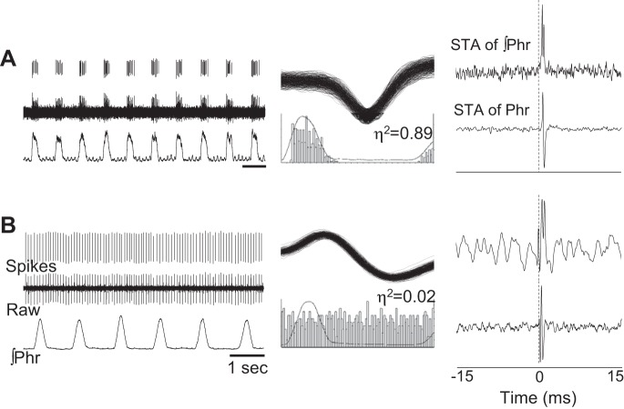 Fig. 9.