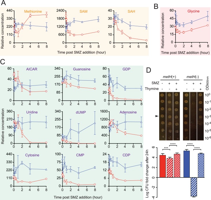 Fig 6