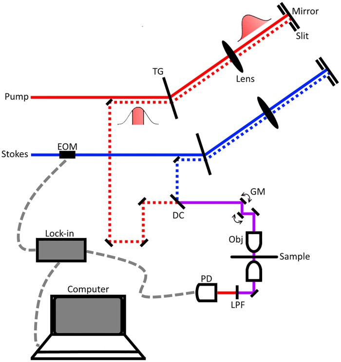 Fig 1