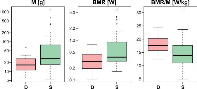 Fig. 12.