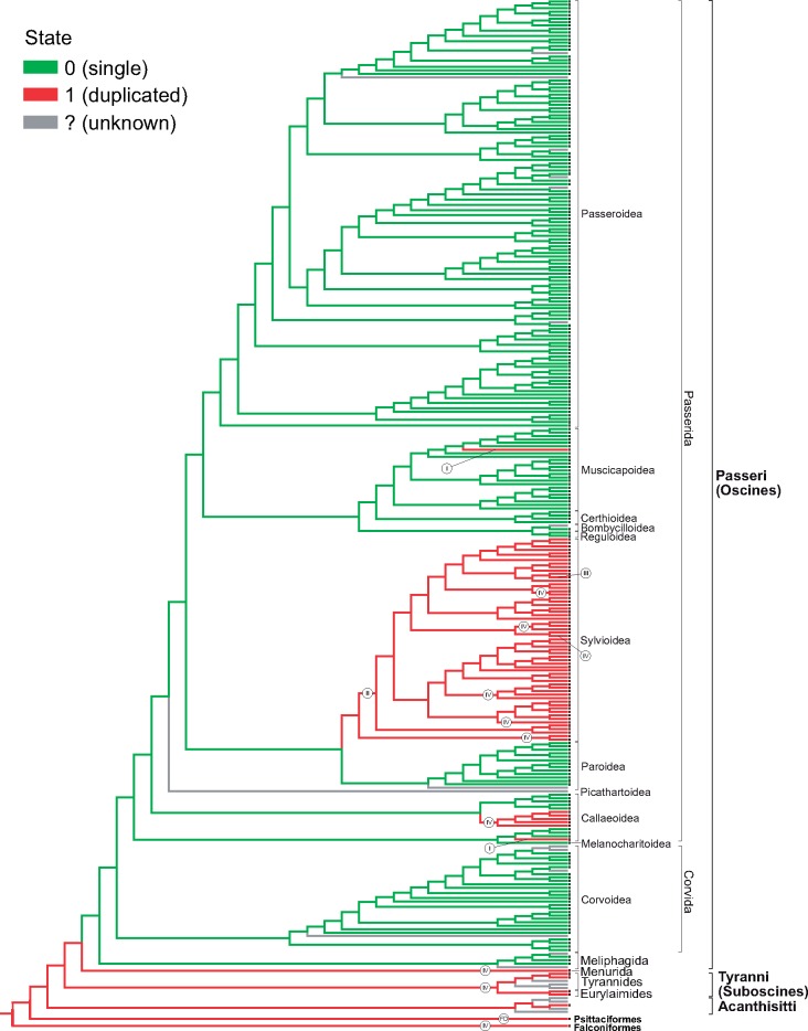 Fig. 7.