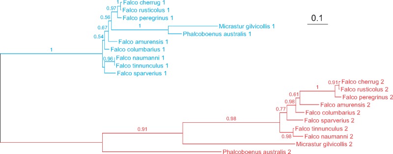 Fig. 10.