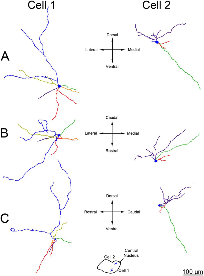 Figure 18.