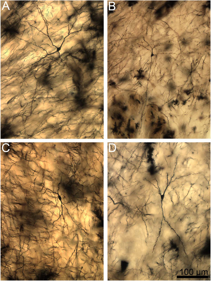 Figure 14.