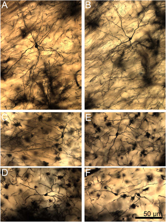 Figure 17.