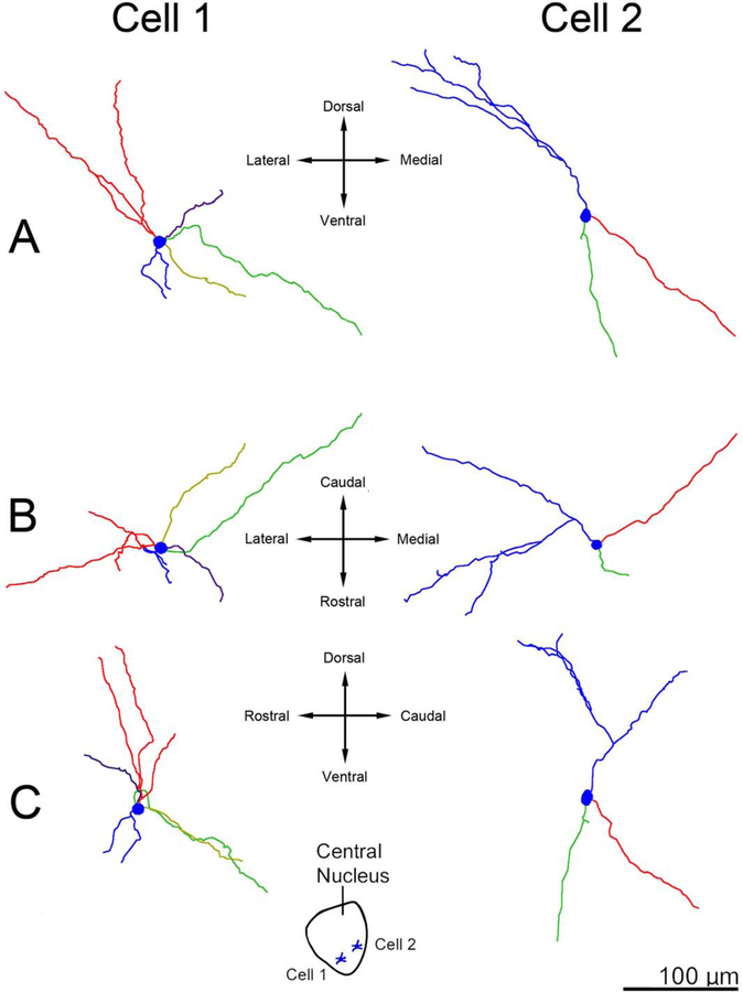 Figure 19.