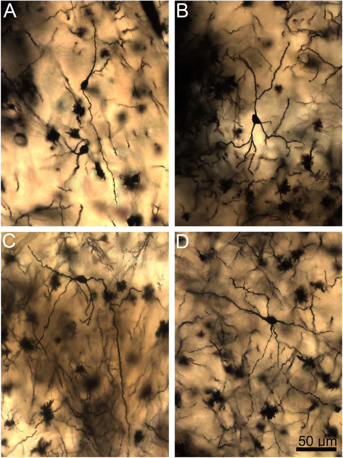 Figure 16.