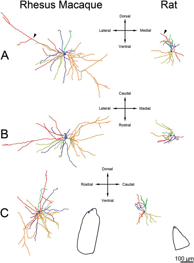 Figure 11.