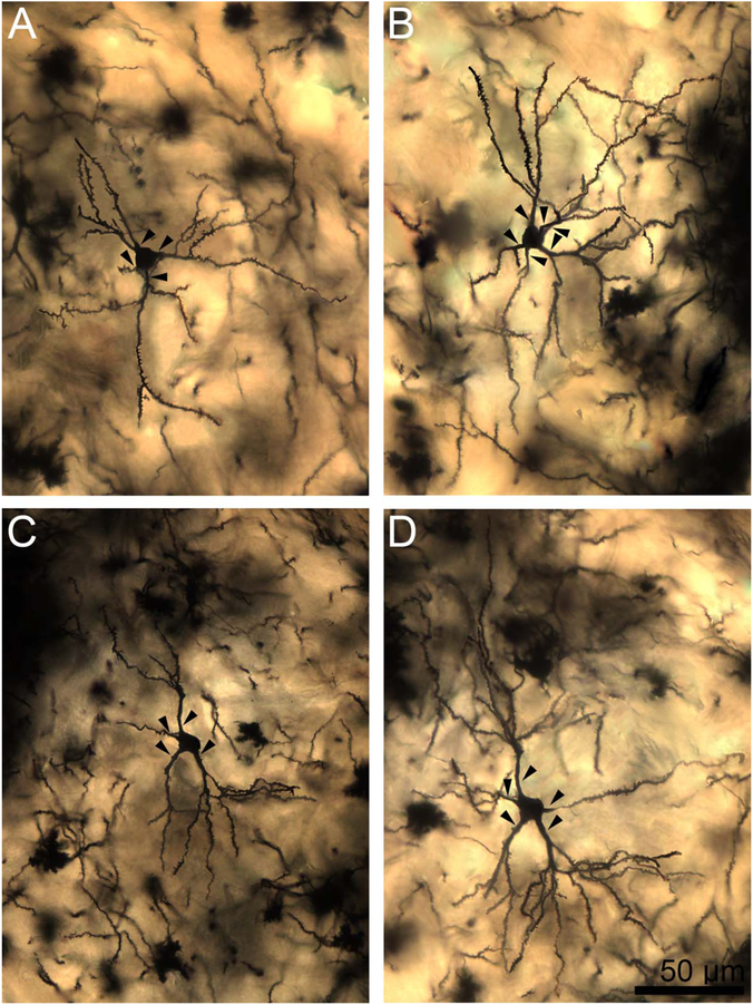 Figure 6.