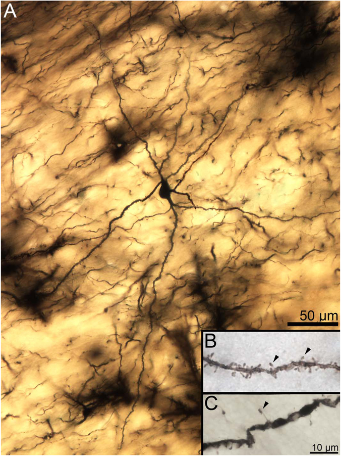 Figure 13.