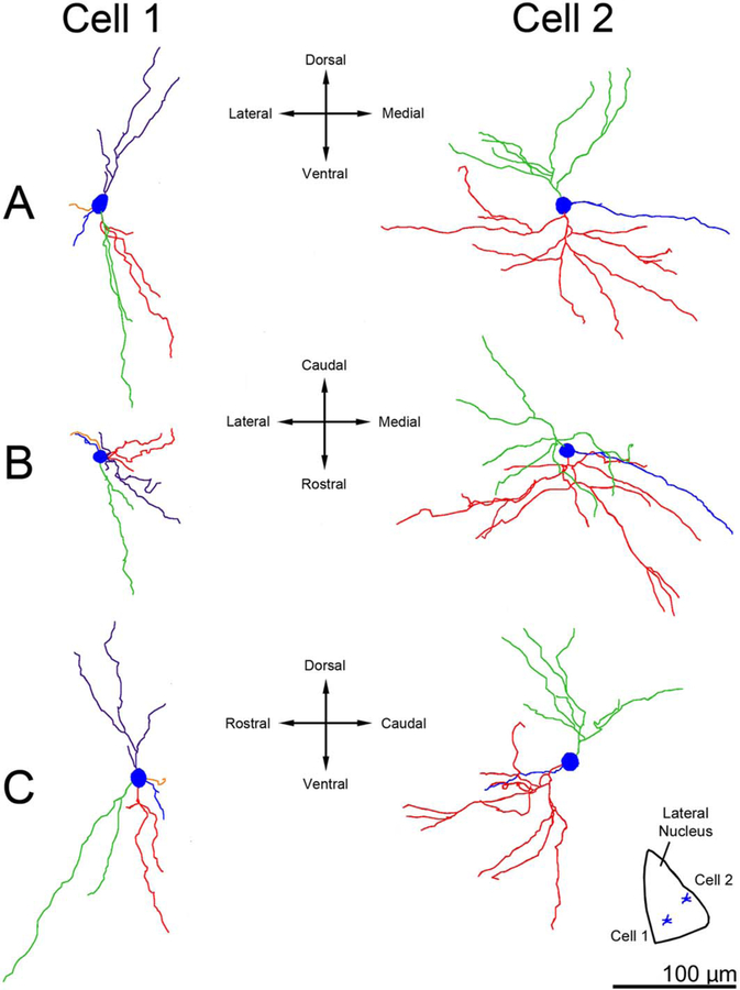 Figure 9.