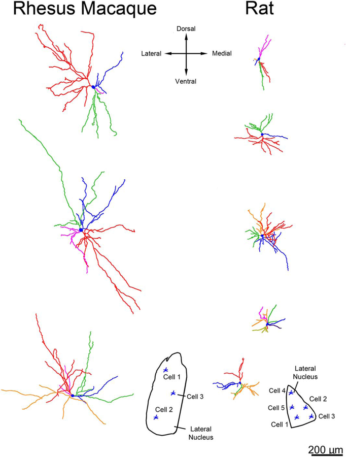 Figure 10.