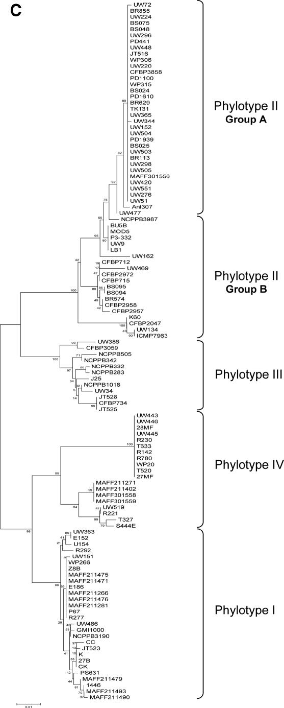 FIG. 2.